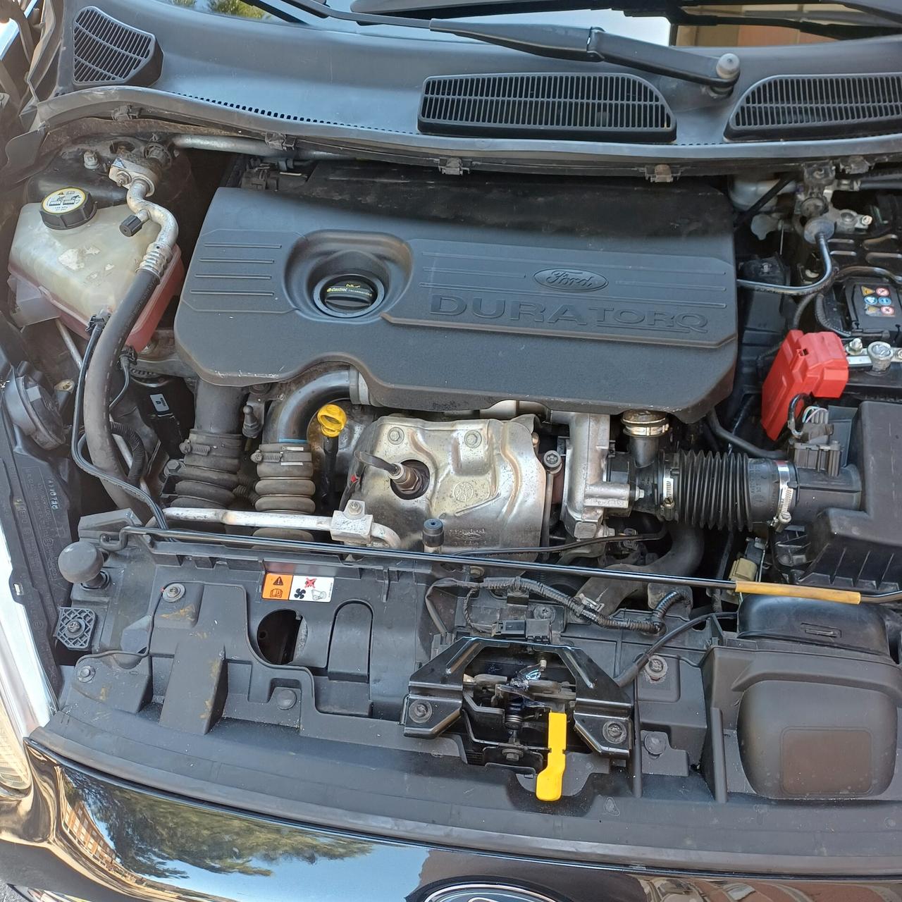 Ford Fiesta 1.5 TDCi 95CV 5 porte Titanium