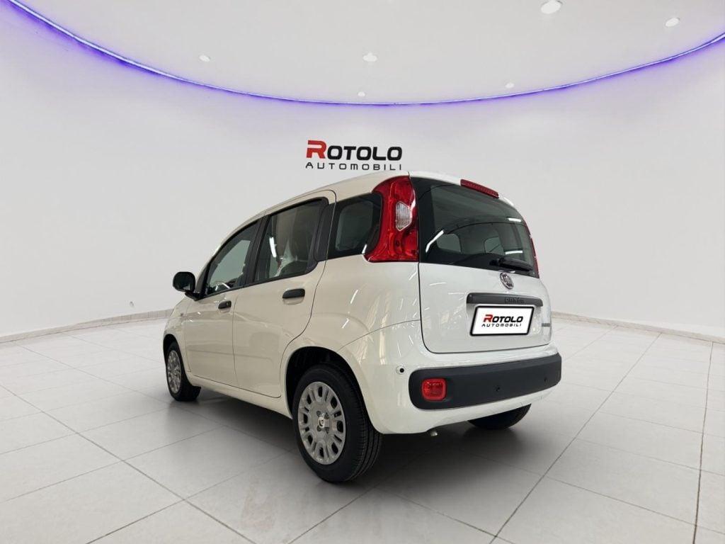 FIAT Panda 3ª serie Panda 1.0 FireFly S&S Hybr...
