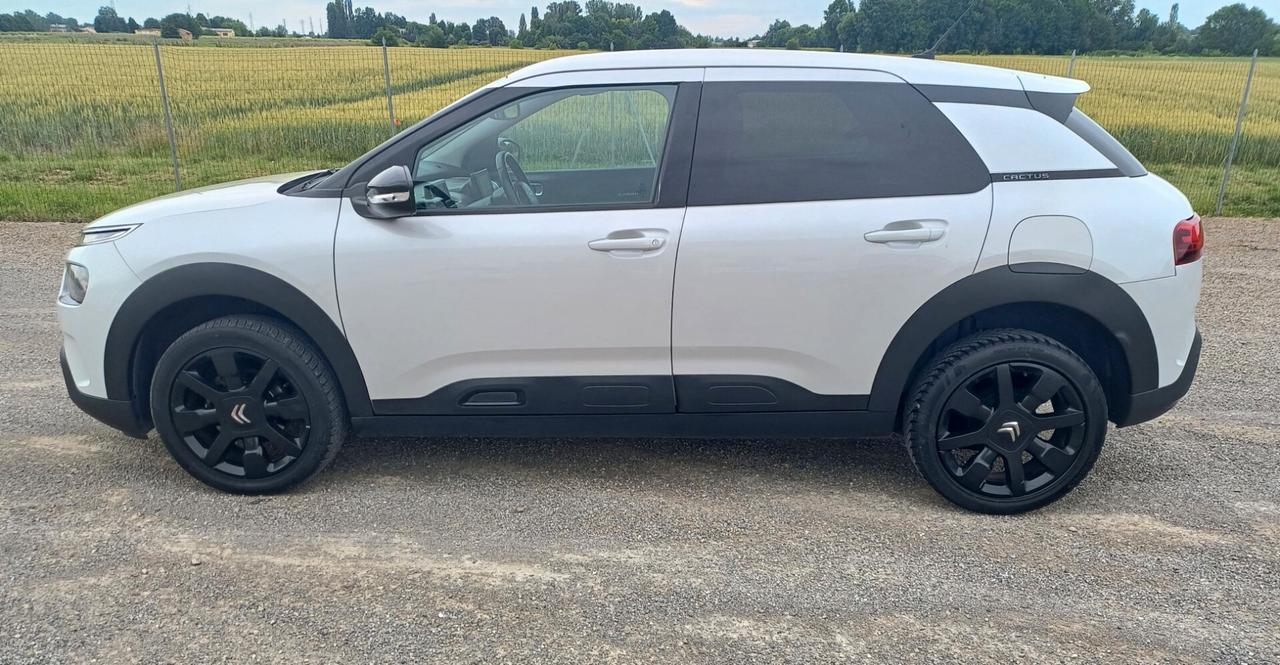 Citroen C4 Cactus BlueHDi 100 S&S Shine