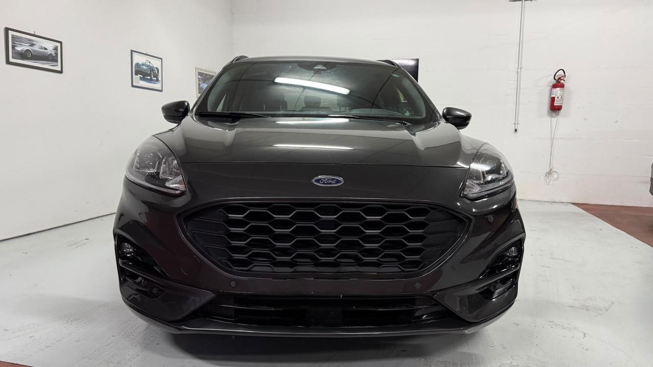 Ford Kuga 1.5 EcoBlue 120 CV 2WD ST-Line x