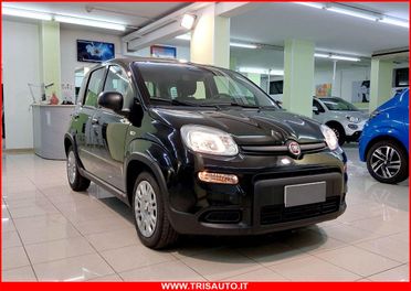 FIAT Panda 1.0 FireFly S&S Hybrid MY24 KM ZERO!!! IVATA NEOPATENTATI