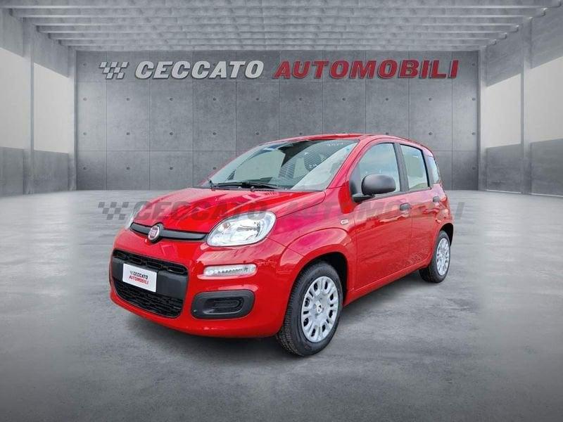 FIAT Panda Panda 1.0 firefly hybrid s&s 70cv