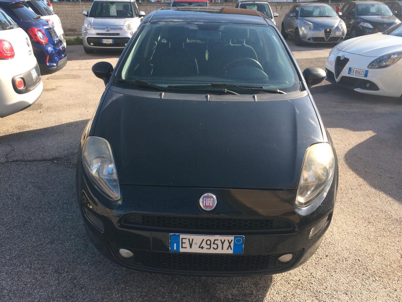 Fiat Punto 1.2 8V 5 porte Lounge tagliandat con garanzia auto per neopatentati!!