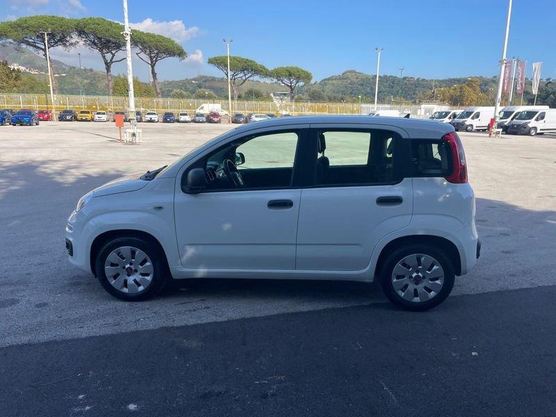 FIAT Panda 1.2 69cv E6 Easy