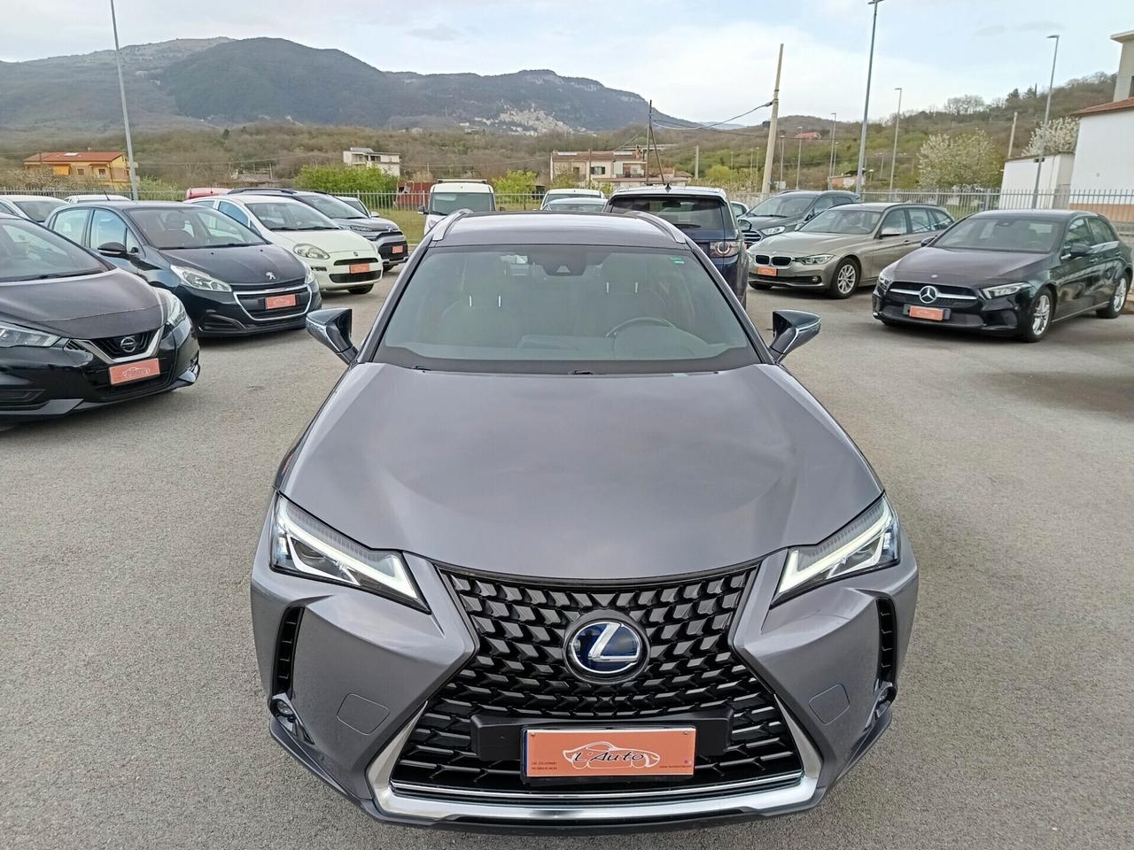 Lexus UX UX 250h 2.0 Business 2WD CVT MY20