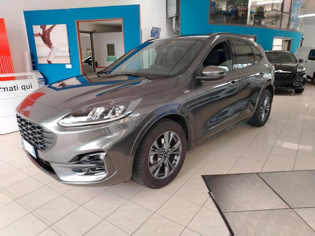 Ford Kuga 1.5 EcoBlue 120 CV aut. 2WD ST-Line