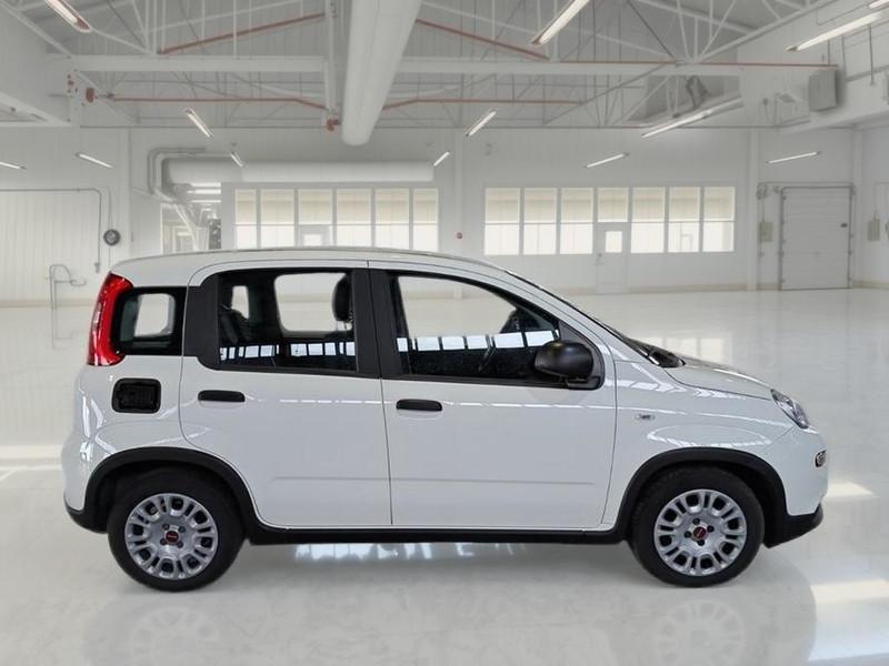FIAT PANDA 1.0 FireFly 70cv S/S Hybrid