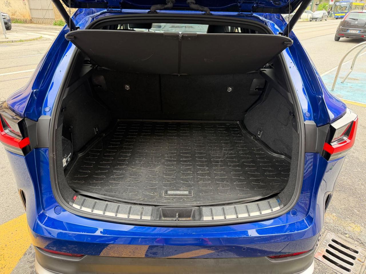 Lexus NX 450h+ PHEV F Sport #10724