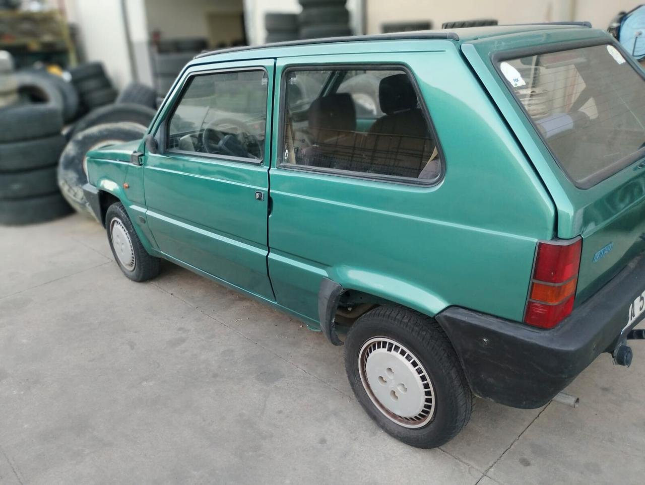 Fiat Panda 1100 i.e. cat Young