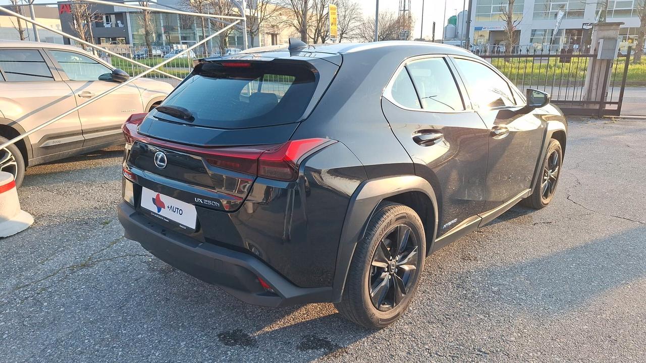 Lexus UX 250h Hybrid Business SOLI KM 43000 !!!!