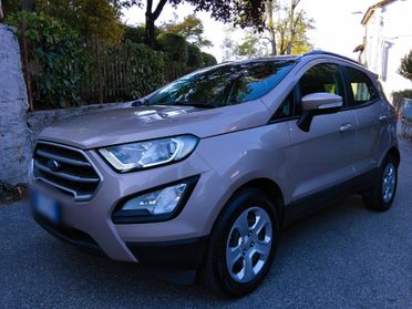 Ford EcoSport 1.0 EcoBoost 100 CV Business