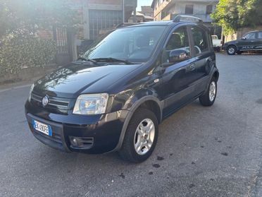 Fiat Panda 1.3 MJT 16V DPF 4x4 Climbing