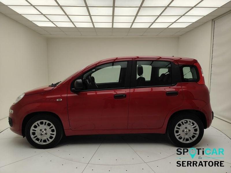 FIAT Pandina Panda 1.0 70cv Hybrid Panda