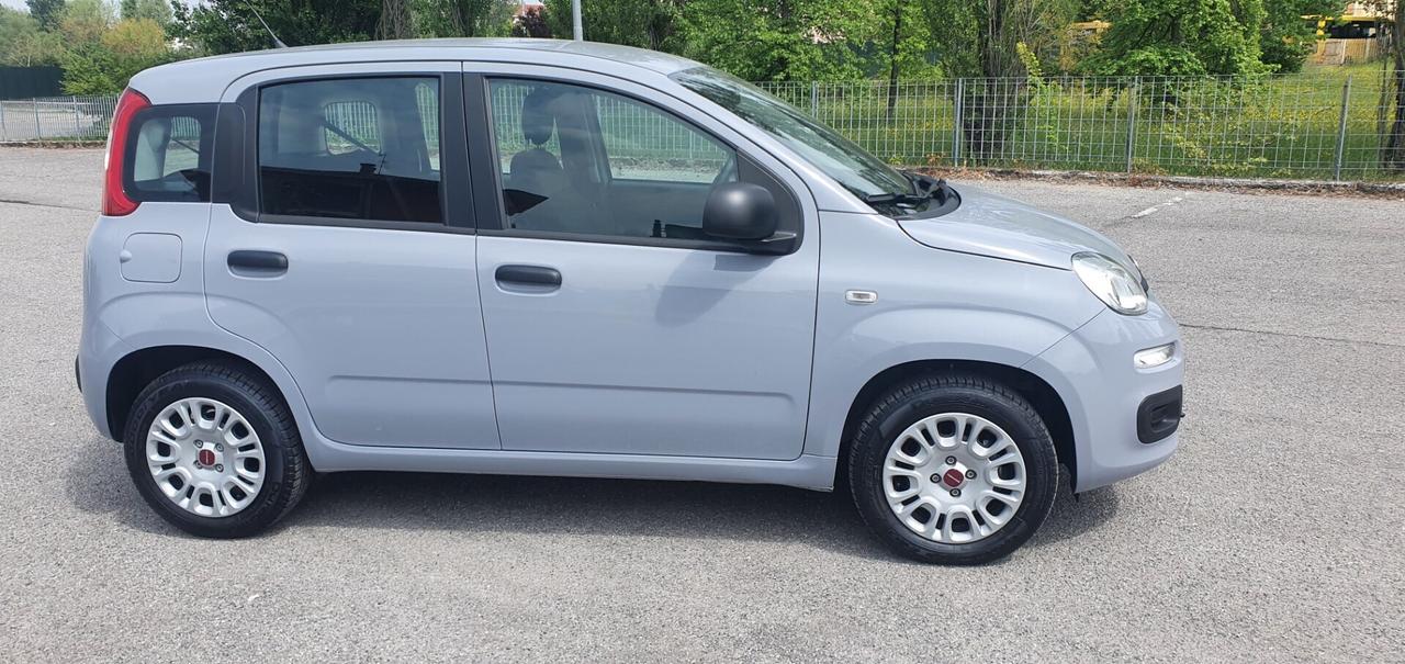 Fiat Panda 1.0 FireFly S&S Hybrid Easy