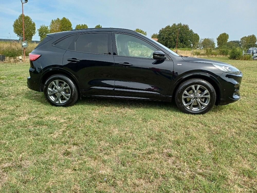 Ford Kuga 1.5 EcoBoost 150 CV 2WD ST-Line