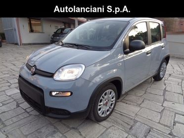 FIAT Panda 1000 HYBRID PANDA 70CV STEREO BLUET ITALIA