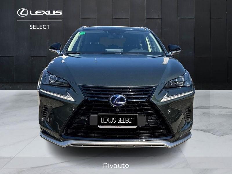 Lexus NX 300 h 2.5 Premium 4wd cvt