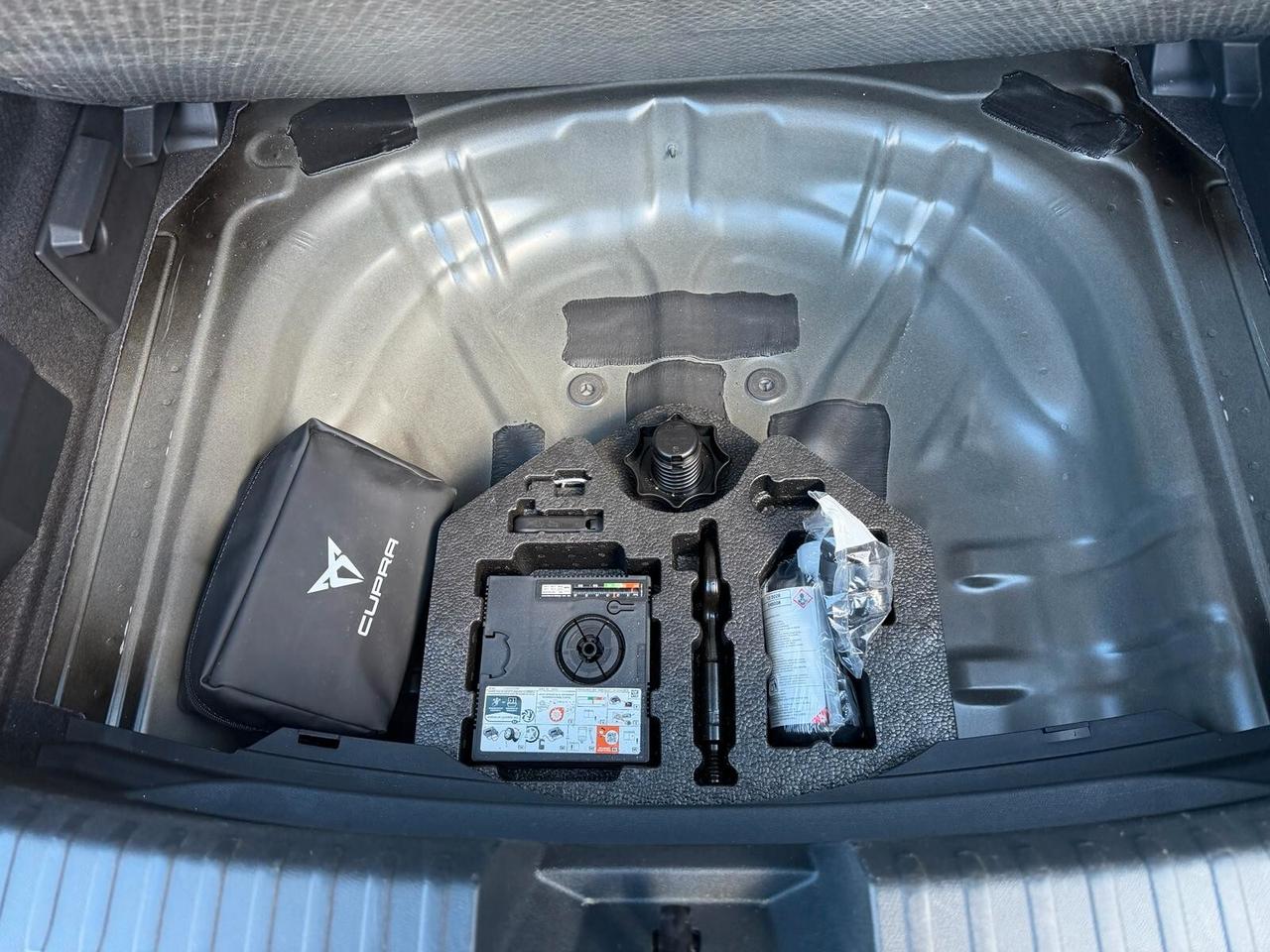 Cupra Leon 2.0 TDI 150 CV DSG