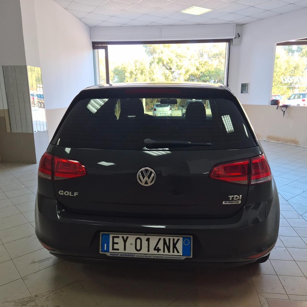 Volkswagen Golf 1.6 TDI 5p. Comfortline BlueMotion Technology