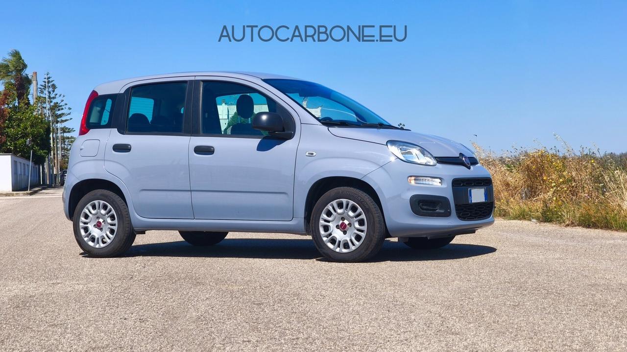 FIAT PANDA 1.2 2019 Az. pari al nuovo