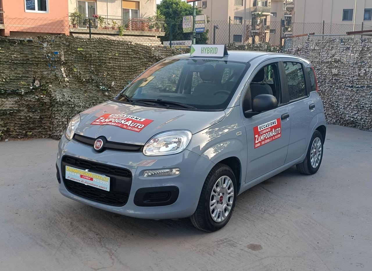 Fiat Panda 1.0 FireFly S&S Hybrid 2021 ZAMPOGNAUTO CT