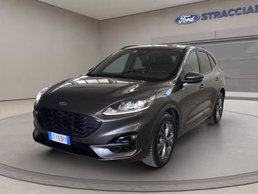 FORD Kuga 2.0 ecoblue ST-Line 2wd 120cv auto del 2024