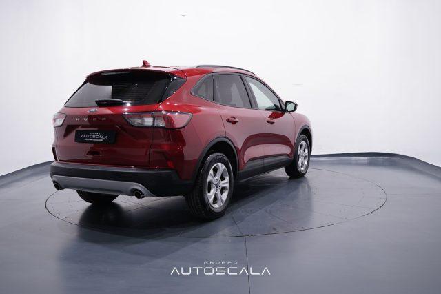 FORD Kuga 1.5 EcoBlue 120 CV 2WD Connect