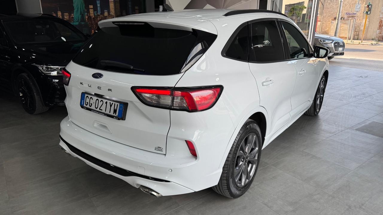 Ford Kuga 1.5 EcoBlue 120 CV 2WD ST-Line X-2021