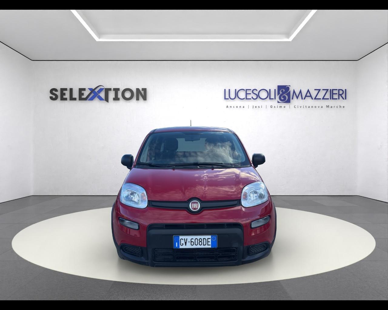 FIAT Panda My24 1.0 70cv Hybrid Panda