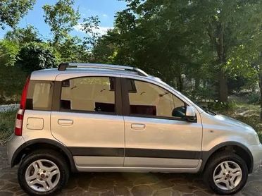 Fiat Panda 1.3 MJT 4x4 EURO4 TASTO ELD Climbing