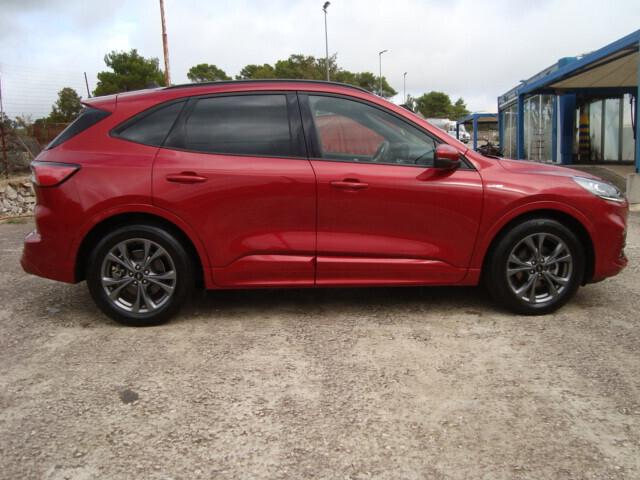 Ford Kuga 1.5 EcoBlue 120 CV 2WD ST-Line 2021