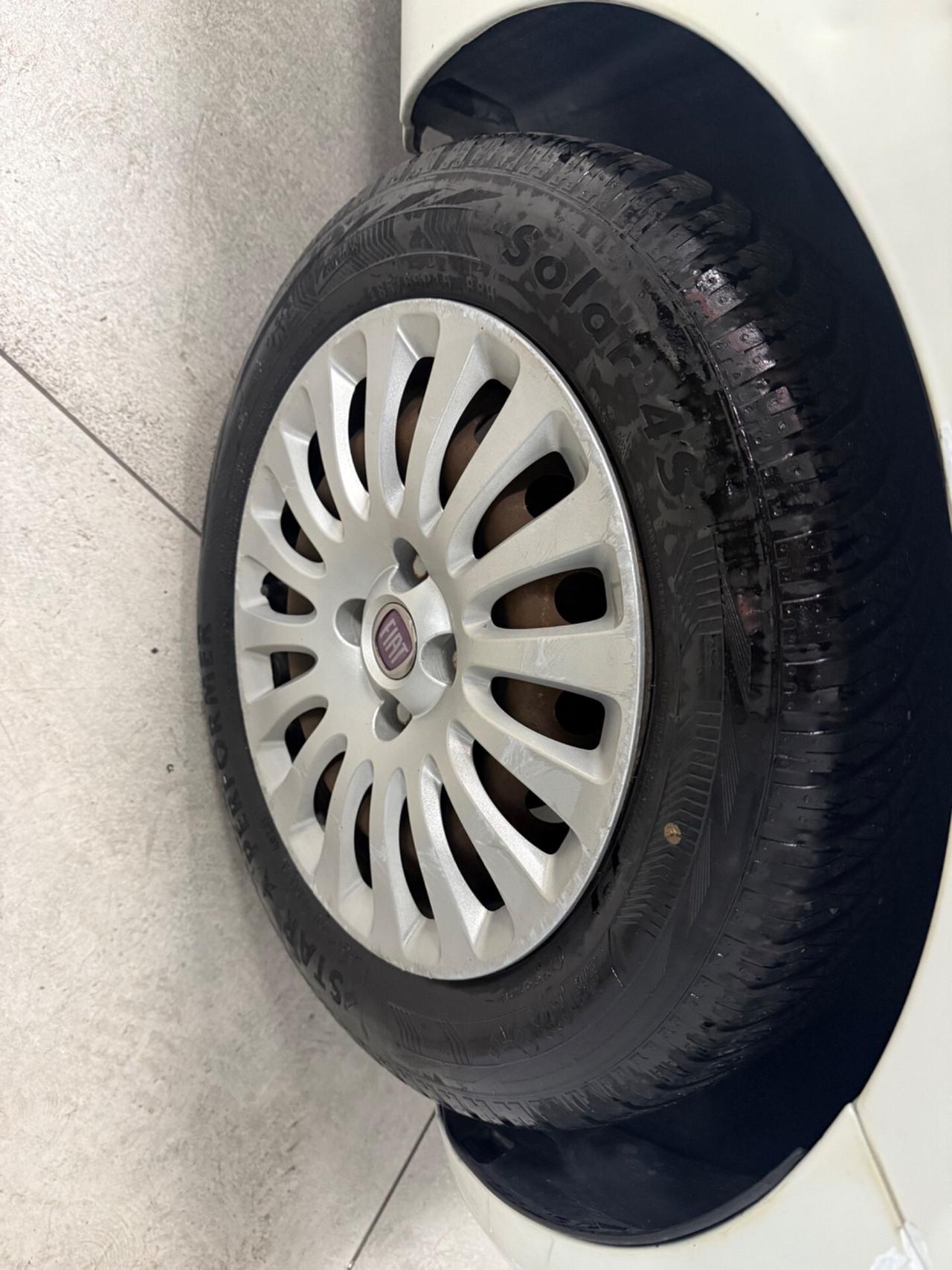 Fiat Punto Evo 1.2 5 porte S&S Fun Gpl 69 CV Ok Neopatentati