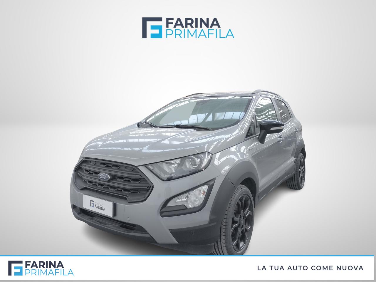 FORD EcoSport 2018 - EcoSport 1.0 ecoboost Active s&s 125cv