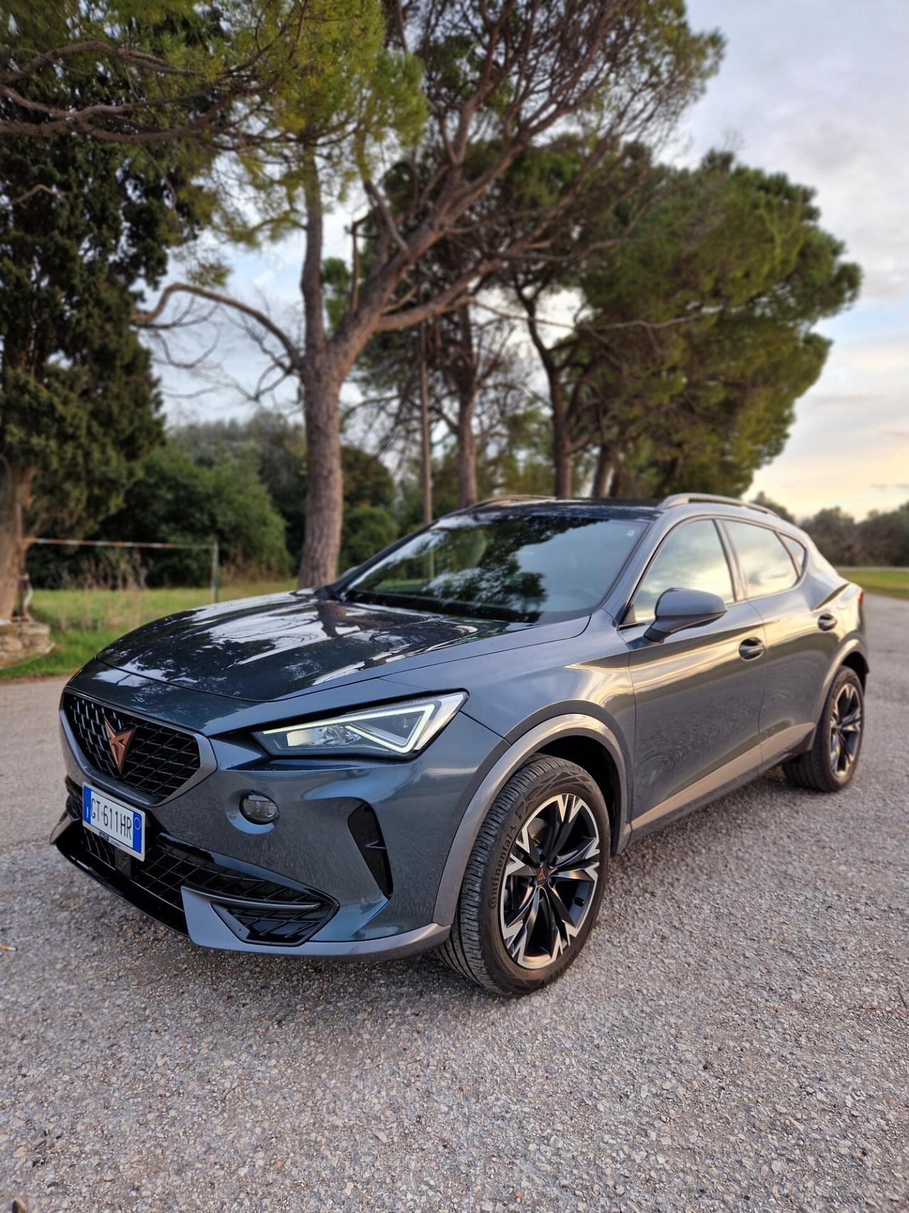 Cupra Formentor 2.0 TDI 4x4 DSG garanzia ufficiale