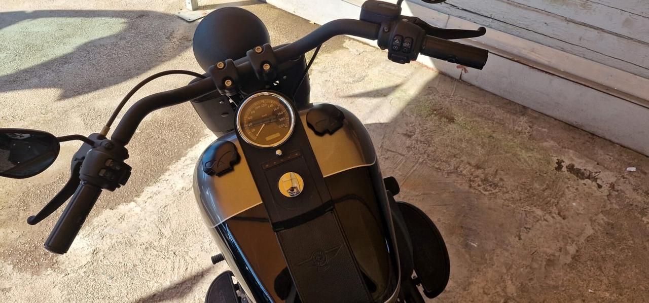 Harley-davidson Fat Boy