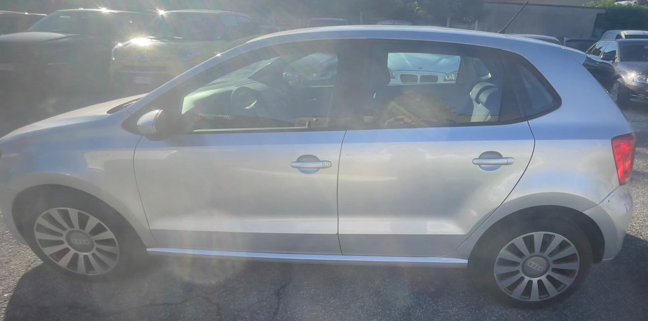 Volkswagen Polo 1.6 TDI DPF 5 porte Comfortline