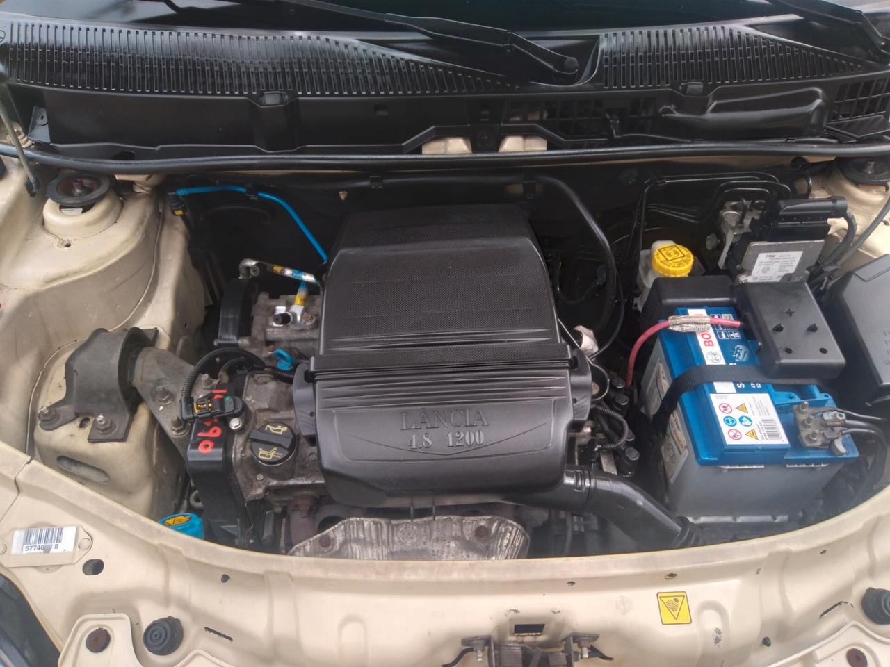 Lancia Ypsilon 1.2 60cv Oro Giallo x neopatentati