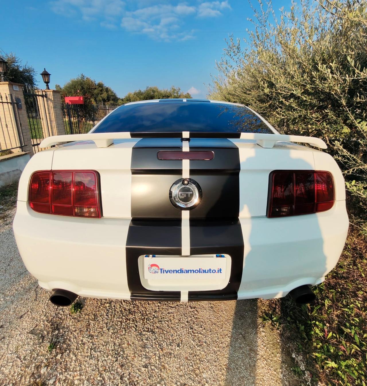Mustang Ford GT 350 Shelby