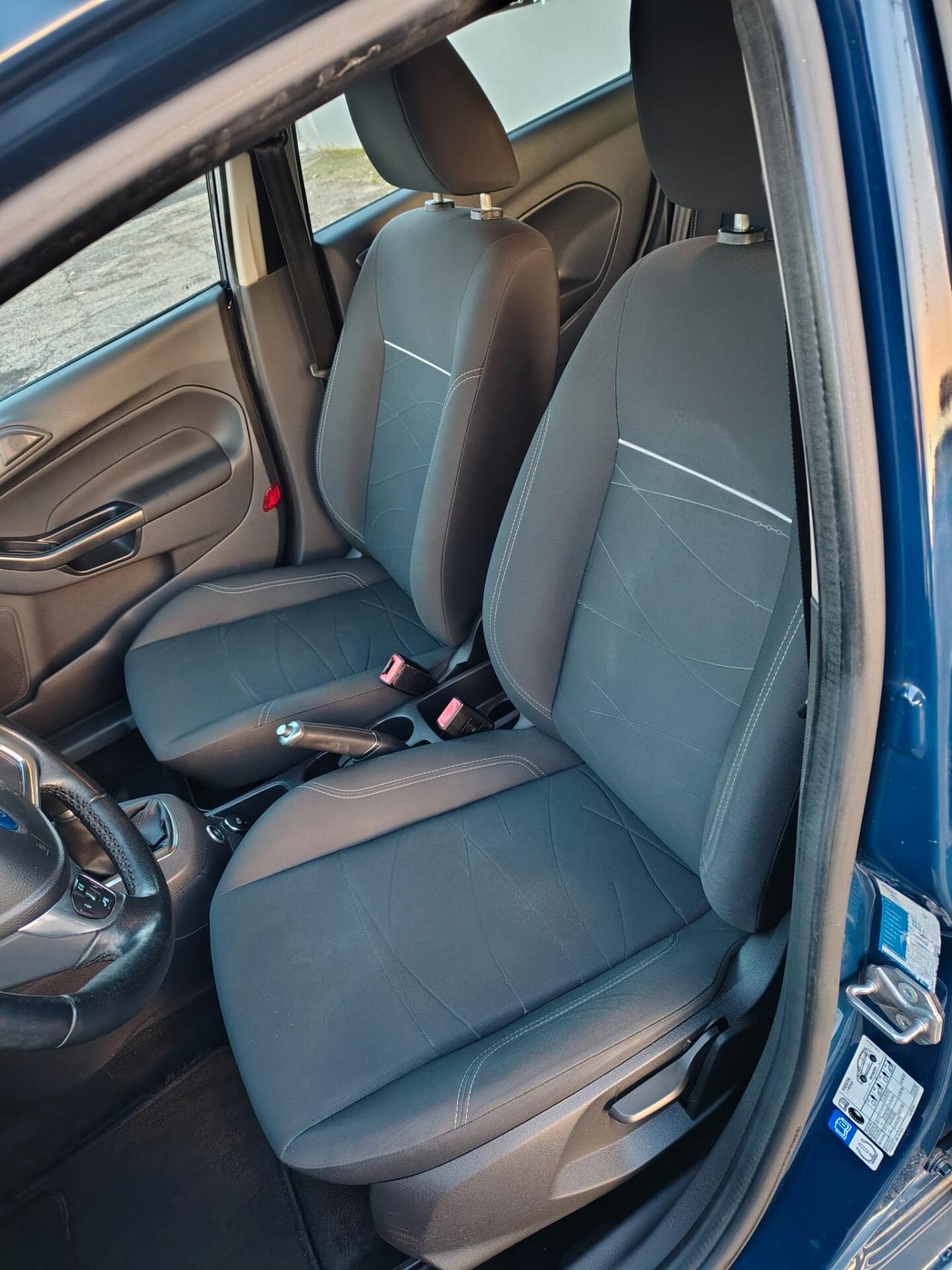 Ford Fiesta 1.4 5 porte Bz.- GPL Black & White Edition