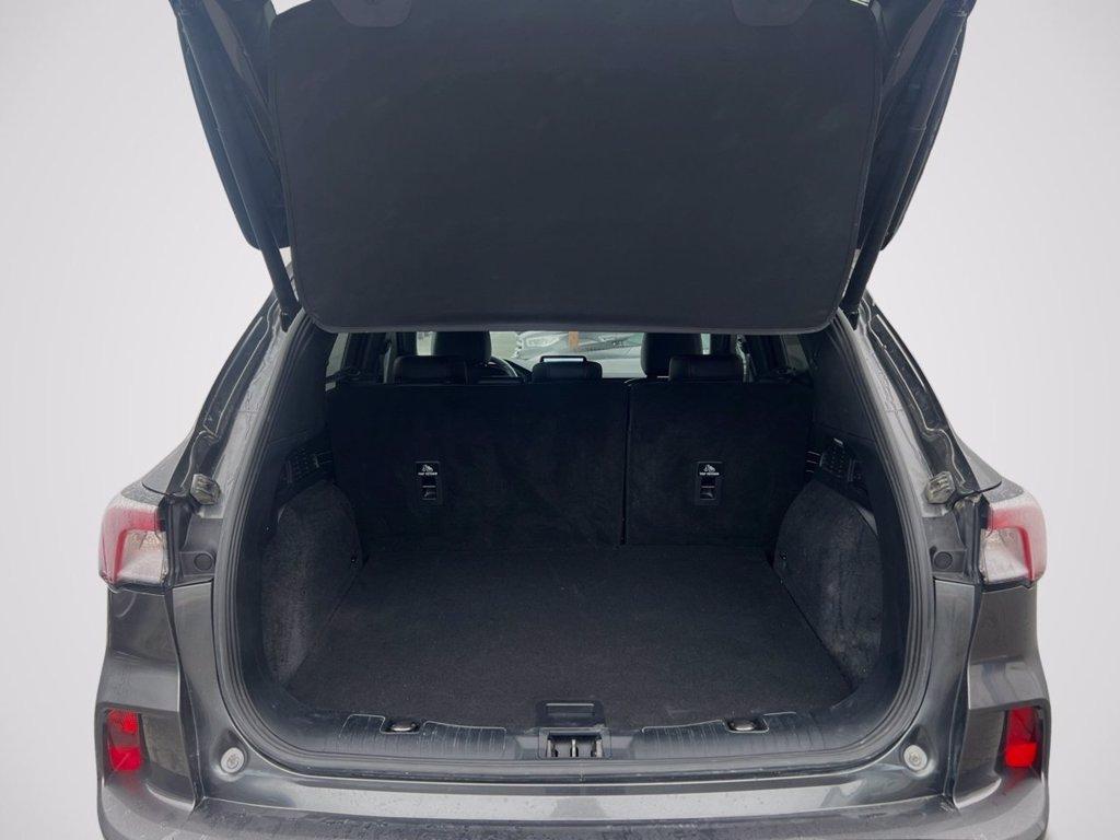 FORD Kuga 2.5 Full Hybrid 190 CV CVT AWD ST-Line X del 2022