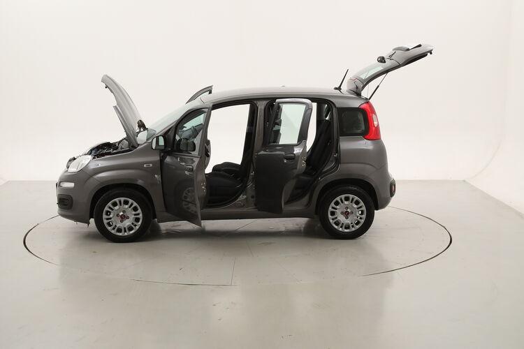 Fiat Panda Easy BZ045904 1.2 Benzina 69CV