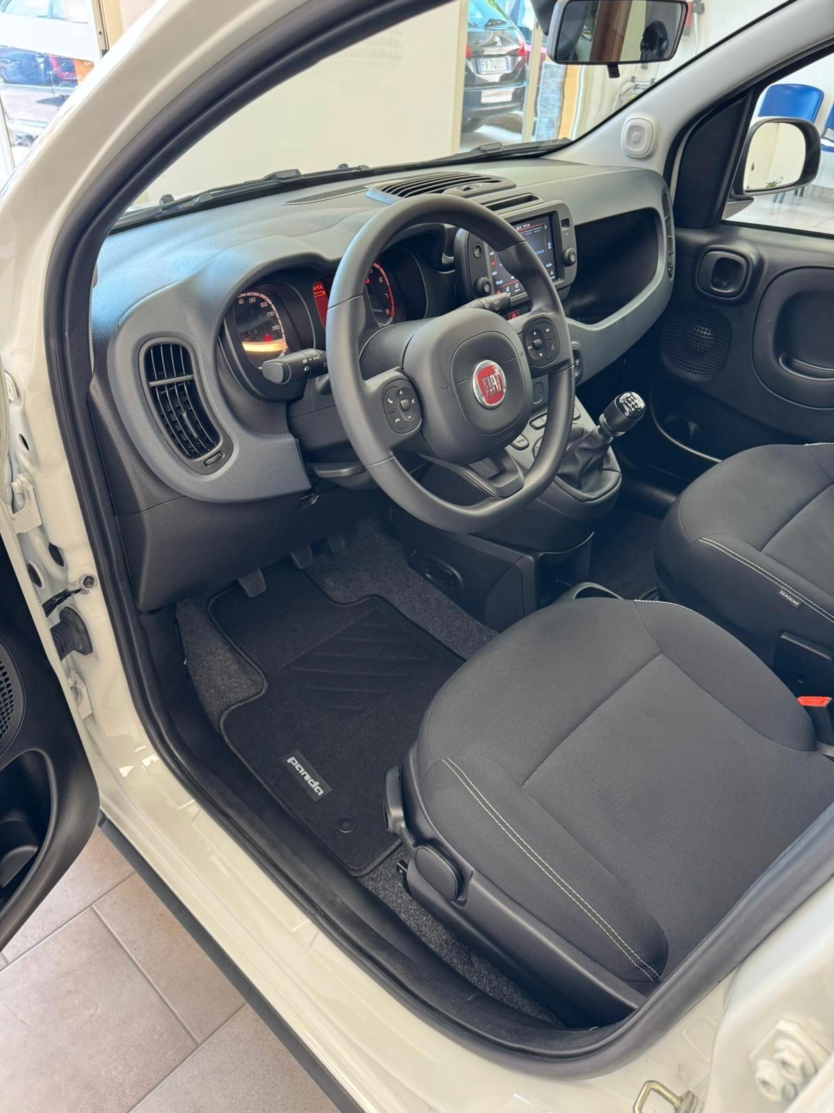 Fiat Panda Cross 1.0 FireFly S&S Hybrid-2024