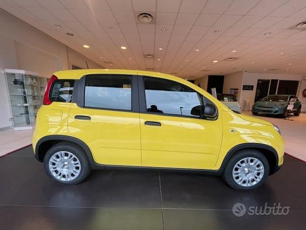 FIAT Panda 1.0 70cv Hybrid Panda N71609
