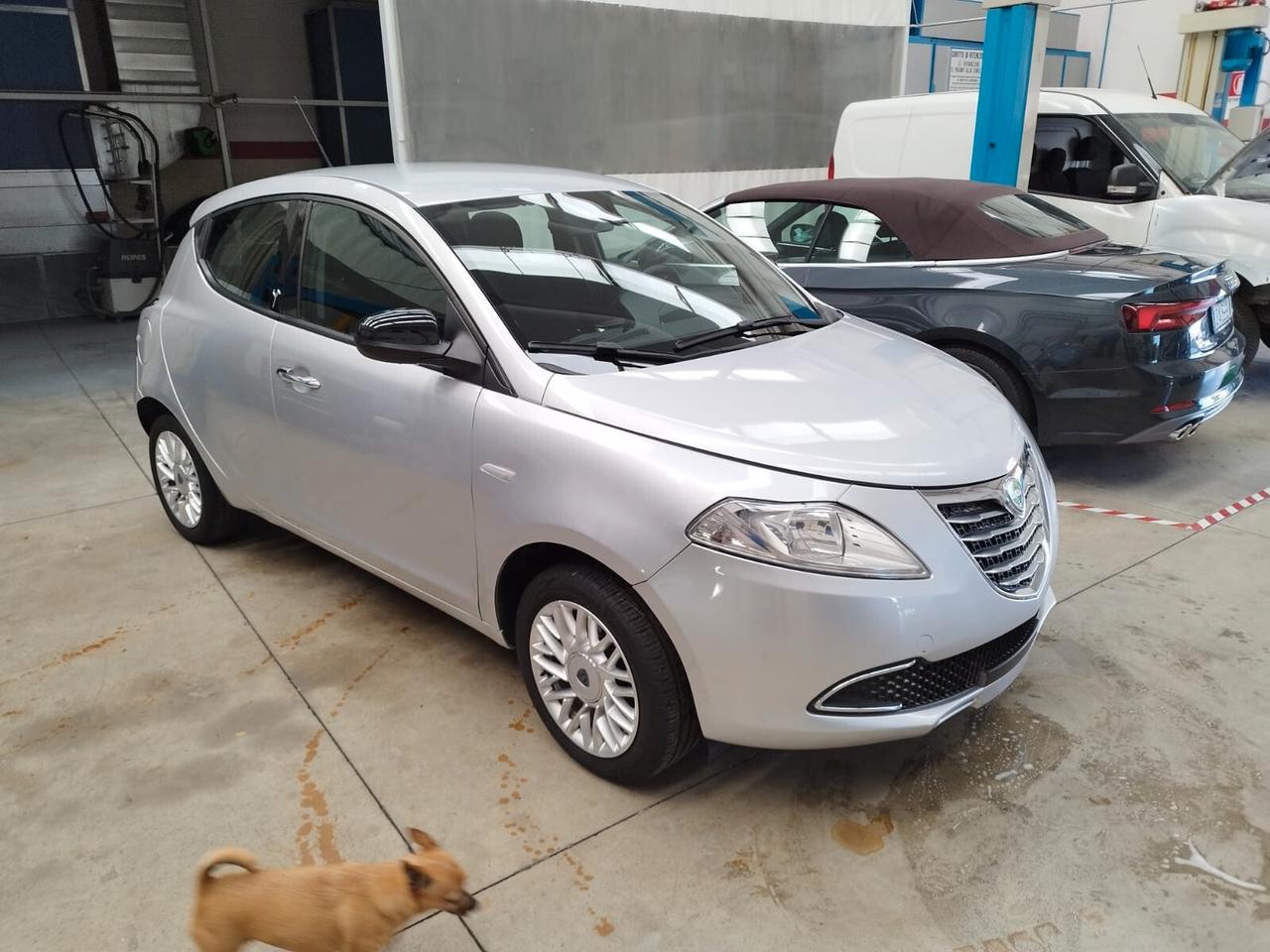 Lancia Ypsilon 1.2 69 CV 5 porte Elle