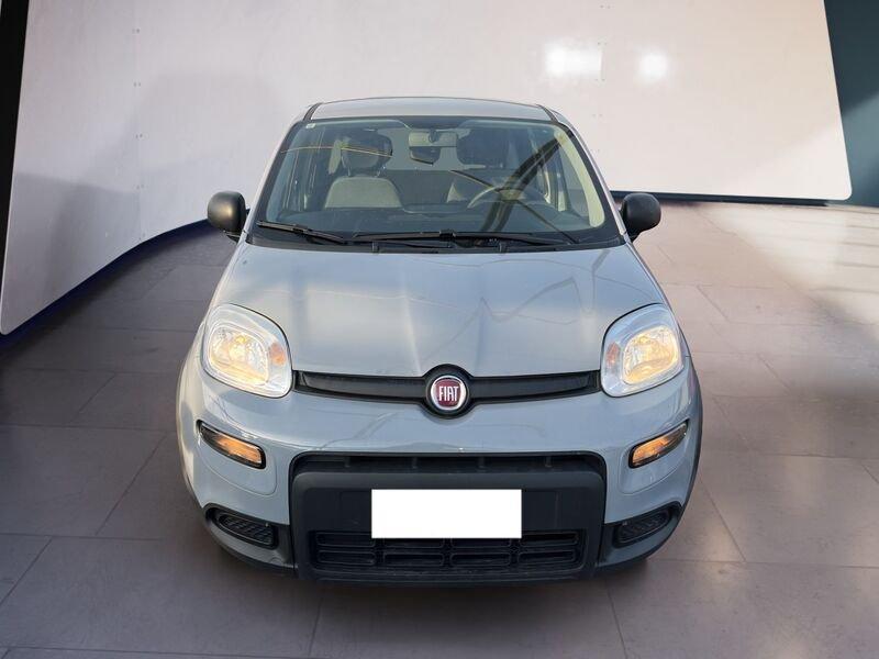 FIAT Panda III 2021 1.0 firefly hybrid City Life s&s 70cv