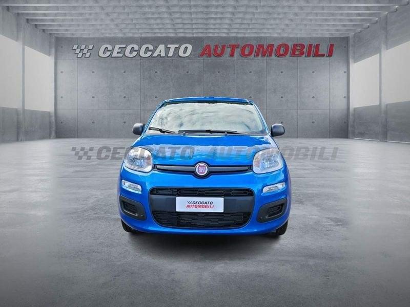FIAT Panda Panda 1.0 firefly hybrid s&s 70cv