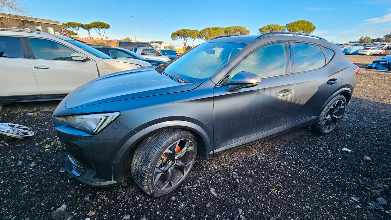 ALLUVIONATA Cupra Formentor 2.0 TDI 4Drive DSG