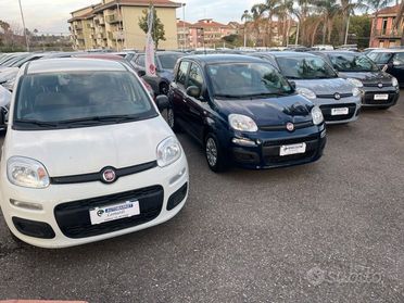 Fiat Panda Fiat Panda 2021/2022 vari colori