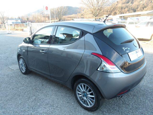 LANCIA Ypsilon 1.2 69 CV 5p NEOPATENATI CINGHIA NUOVA