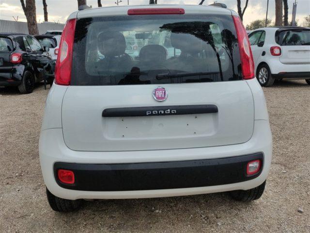 FIAT Panda New 1.2 Lounge CLIMA OK NEOPATENTATI ..